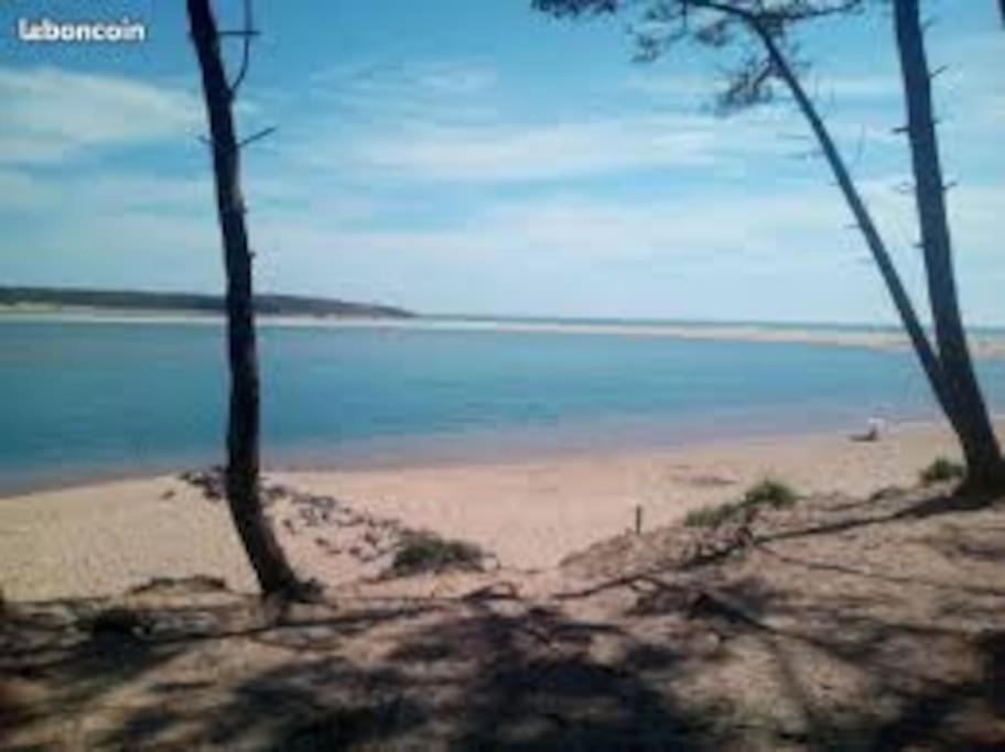 Charmant T2 Au Coeur Du Golf De Port Bourgenay Talmont-Saint-Hilaire 外观 照片